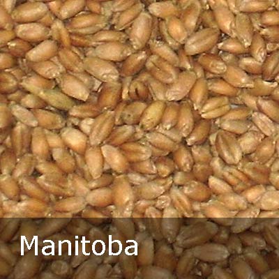 manitoba