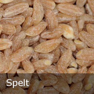 spelt